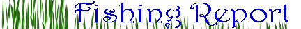 http://www.exploreminnesota.com/index.asp?section=NEWS&FRid=10